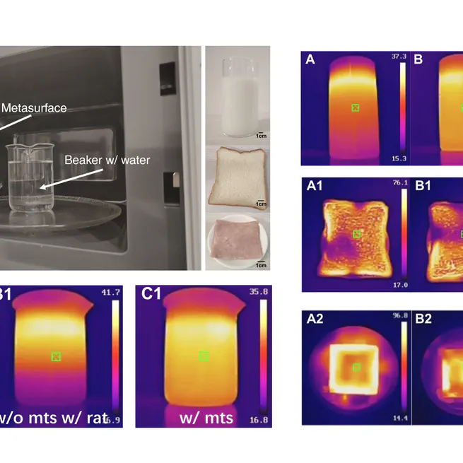 MicroSurf: Guiding Energy Distribution inside Microwave Oven with Metasurfaces